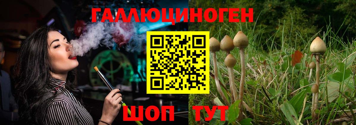 закладки  Псилоцибиновые грибы Psilocybine cubensis  Вход с VPN  Чусовой  Галлюциногенные грибы Psilocybine cubensis 
